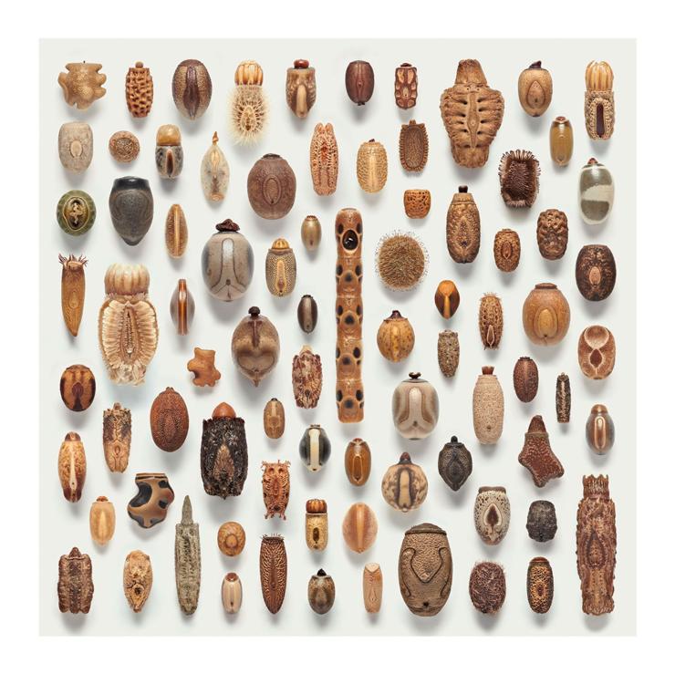 Orderly array of around 100 intricate organic objects. Visually, they could be ceramics, or woven baskets. Very sculptural.