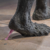 @glamcode@openbiblio.social