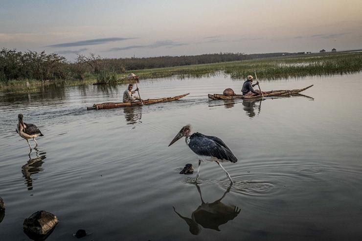 Two fishermen set off at dawn for a day of fishing aboard traditional handmade dugout canoes on Lake Dembel, one of Ethiopiaís Central Rift Valley lakes long affected by overuse and pollution, in Batu on May 20, 2025. (Photo by Marco Simoncelli / AFP)