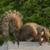 @kudemadu@mastodon.social